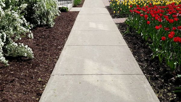 Cost of Sidewalk Concrete Replacement in Buford