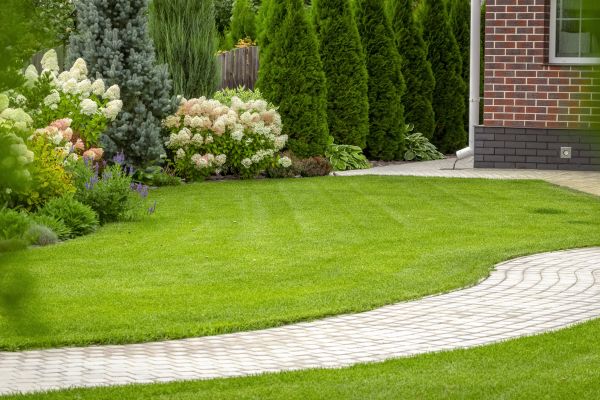 Cost of Landscape Walkway Installation in Buford